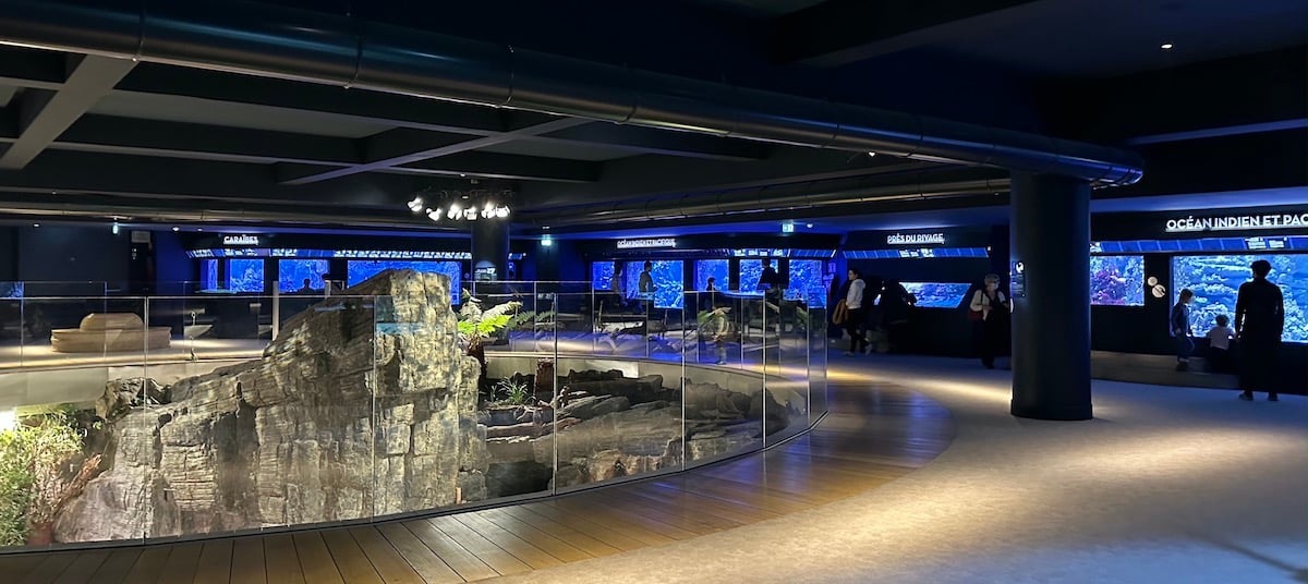 Image du billet Aquarium Tropical : plongez au cœur de la biodiversité